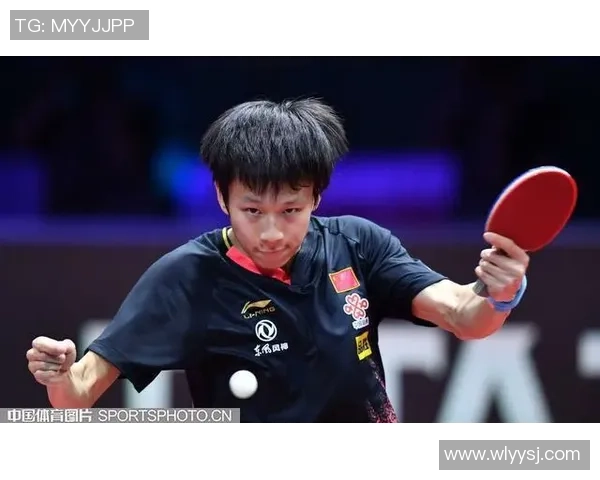 北京排球队在钻石联赛中的团队协作表现分析与评价